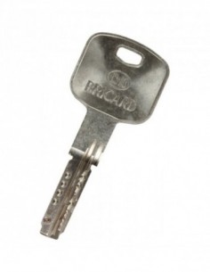 Double Clé Bricard Passe...