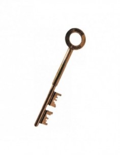 DOUBLE CLE FICHET HLM/ SANS...